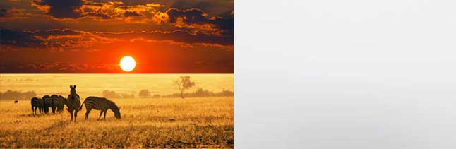 IECEx Umhlanga Meeting